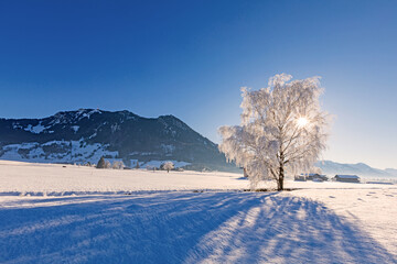 Winter - Allg&auml;u - Landschaft - Spaziergang - Schnee