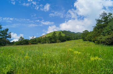 夏の霧降高原02