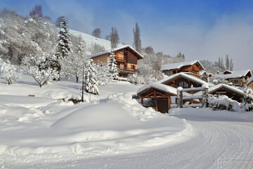 Fototapeta na wymiar chalets in alpine village covered with snow at the end of a white rural road