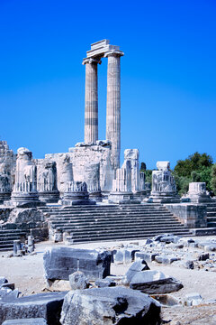 Appolo's Temple, Didym