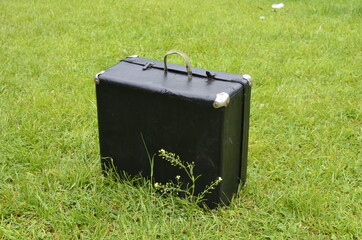 suitcase with business cards on green grass