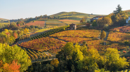 Obraz premium Beautiful hills and vineyards during fall season surrounding Barolo village. In the Langhe region, Cuneo, Piedmont, Italy.