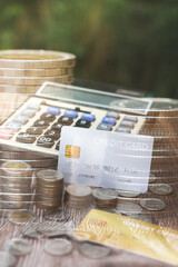 Closeup image of a woman holding and choosing credit card to use