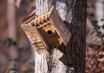 Birdhouses in the Woods