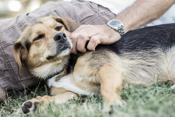 Man hugging his beloved dog
