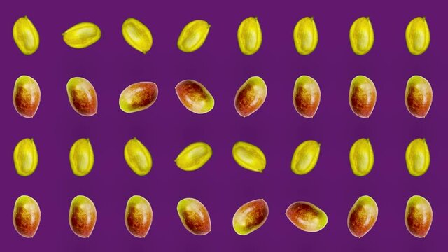 Colorful fruit pattern of fresh mango on violet background. Seamless pattern with mango. Realistic animation. 4K video motion