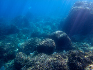Fondale marino riviera dei ciclopi Acicastello 41