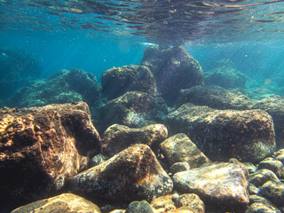 Fondale marino Riviera dei ciclopi  Acicastello 77