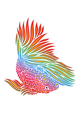 beautiful  design vector beauty of colorful betta fish with beautiful fins for clothing