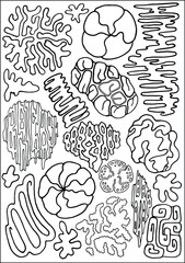 Corals vector illustration in black and white for coral pattern