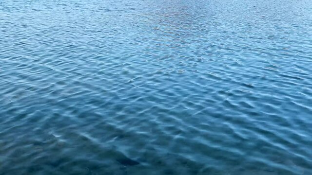 View of the water surface in the lake