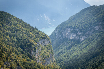 Naklejka premium forest hiking mountain scenic trees