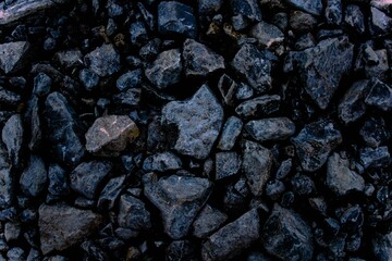 Coal