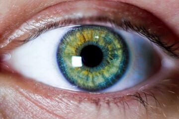 Close-up eye.