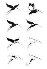 Birds of paradise decor set. Original decorative birds set for design	