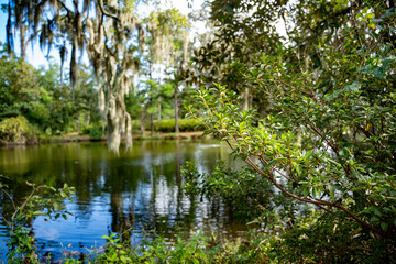 Fototapeta na wymiar pond reflecting sky in the park forest