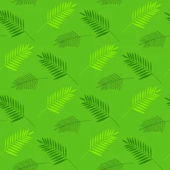 Gardinen Nahtloses Muster, grüne und hellgrüne Palmzweige auf grünem Hintergrund, flacher Vektor © Liudmyla