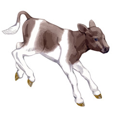  Vector illustration of baby cow.