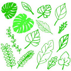 Fototapeta na wymiar Set of simple flat green leaves on white background, isolate on white