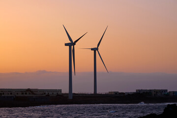 View of two wind farms at sunset.
