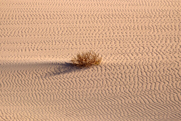 View of the dune Corralejo on the Canary island of Fuerteventura.
