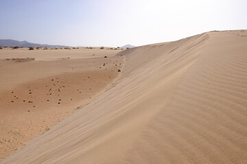 View of the dune Corralejo on the Canary island of Fuerteventura.