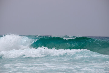 View of the big blue wave.