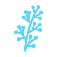 Hand-drawn blue coral, flat vector, single element, isolate on white background