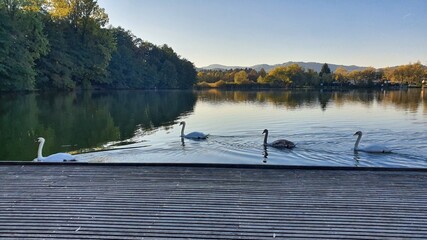 boats on the lake