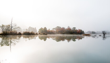 foggy lake
