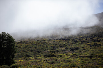 Tropical lush landscapes in Maui Hawaii