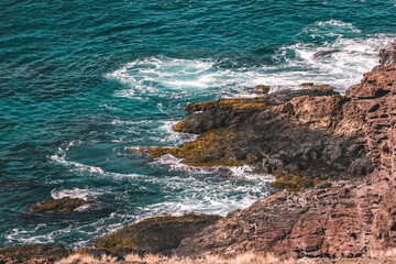 Tropical lush landscapes in Maui Hawaii