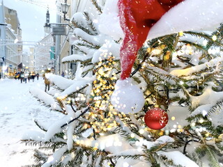red santa klause hat on Christmas tree branch ,city scene green tree yellow light illumination ...