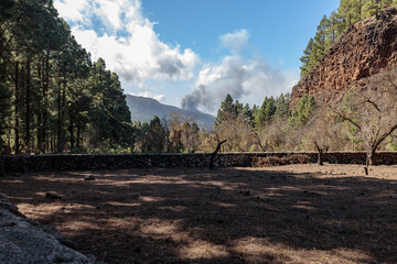 La Palma, Canary Islands - November 11, 2021. Eruption of Cumbre Vieja Volcano. La Palma, Canary Islands, Spain. November, 2021