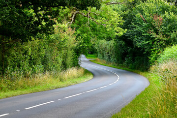 Winding road in the woods in summer, West Midlands, England, UK