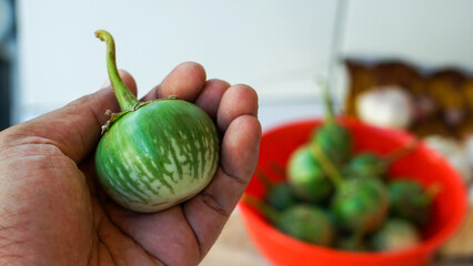 vegetables on the table