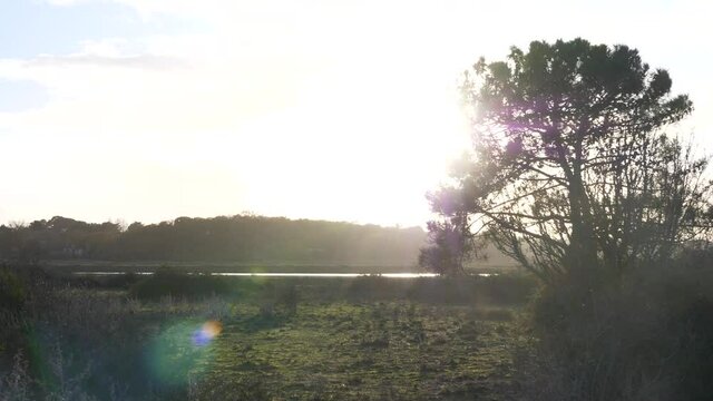 A nice landscape during sunset on the 1st December 2021 at Kercabellec, Mesquer, France.
