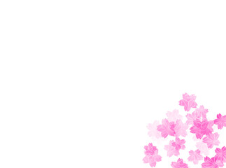 Fototapeta premium 桜の壁紙、フレーム 