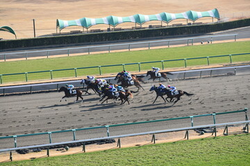 中山競馬場