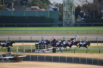 中山競馬場障害競走