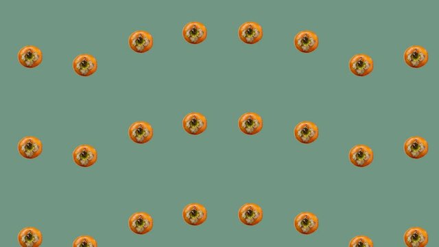 Colorful pattern of fresh orange persimmons. Top view. Seamless pattern with persimmon. Pop art design. Realistic animation. 4K video motion