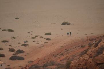 two people walking in the beach 