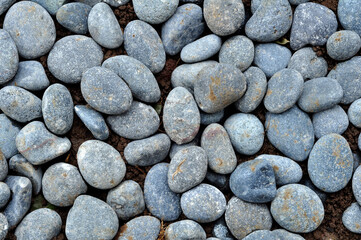 Background texture pebble oval stone grey color