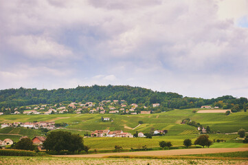 Fototapeta na wymiar Beautiful summer landscape with small village surrounded by vineyards between Geneva and Lausanne, Switzerland