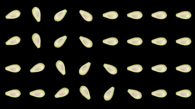Colorful fruit pattern of fresh avocados on black background. Seamless pattern with avocado. Realistic animation. 4K video motion