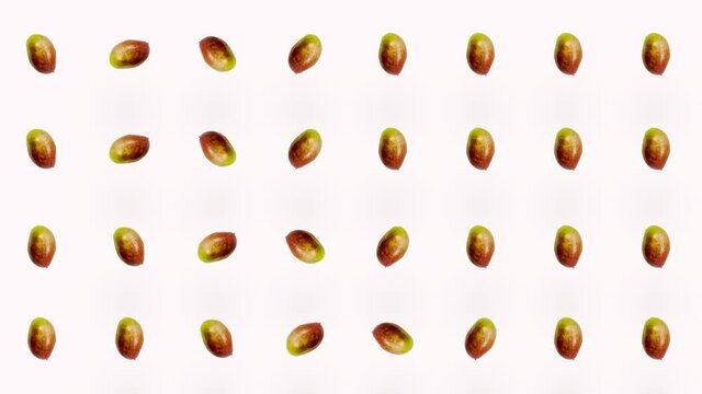Colorful fruit pattern of fresh mango on pink background. Seamless pattern with mango. Realistic animation. 4K video motion