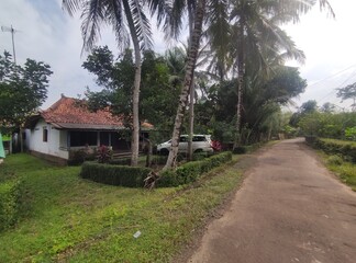 Fototapeta premium The scenery of the atmosphere in a village