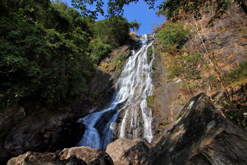 waterfall in green forest