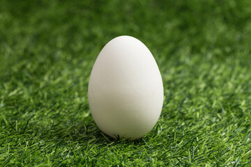 A nutritious and delicious goose egg