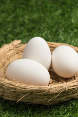 A nutritious and delicious goose egg